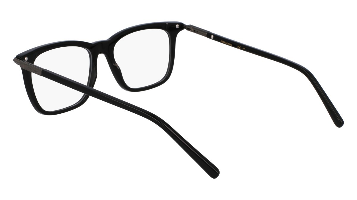 Eyeglasses Salvatore Ferragamo SF3007 (001) color black shape rectangle lenses black