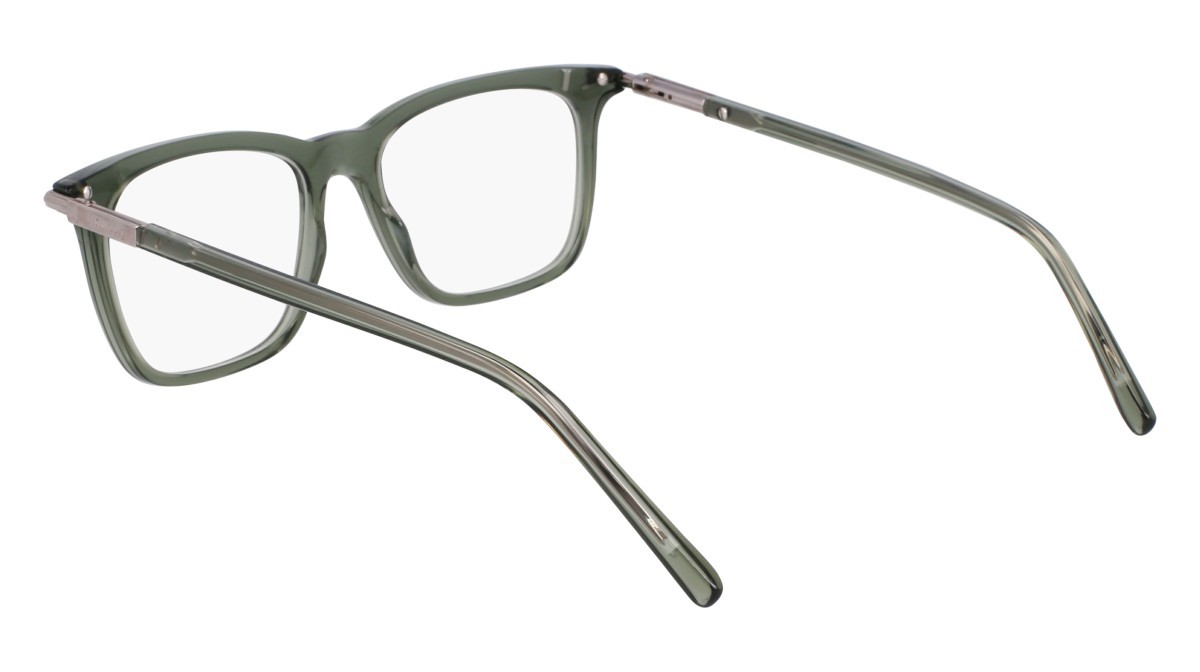 Eyeglasses Salvatore Ferragamo SF3007 (317) color transparent green shape rectangle lenses transparent brown