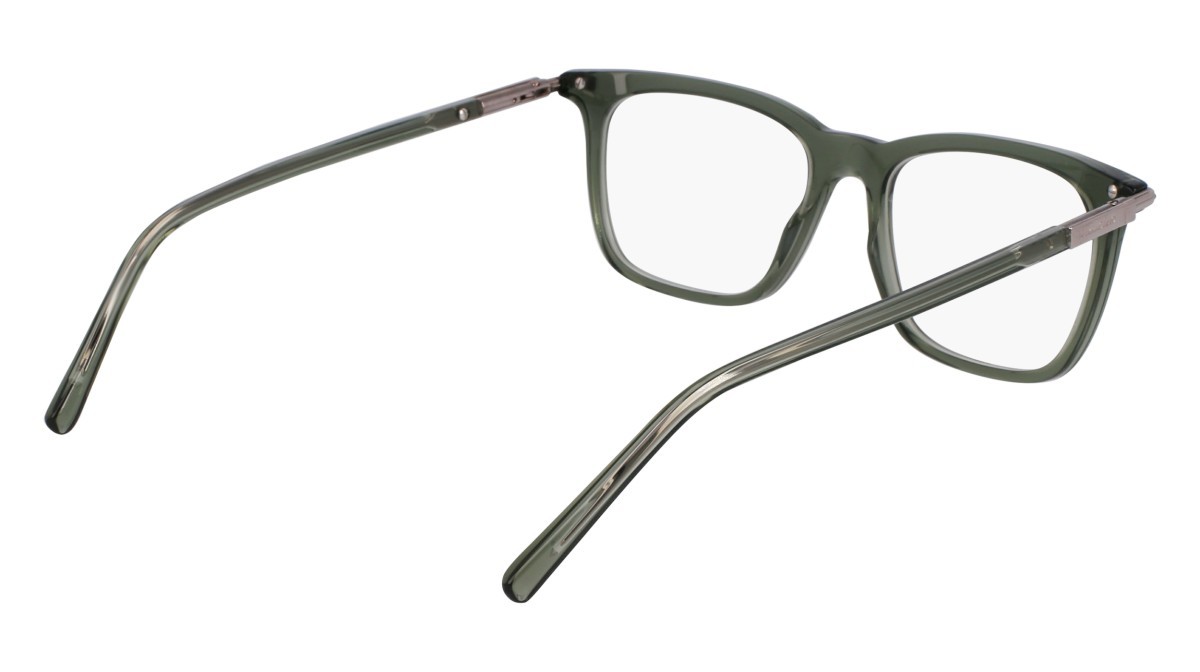 Eyeglasses Salvatore Ferragamo SF3007 (317) color transparent green shape rectangle lenses transparent brown