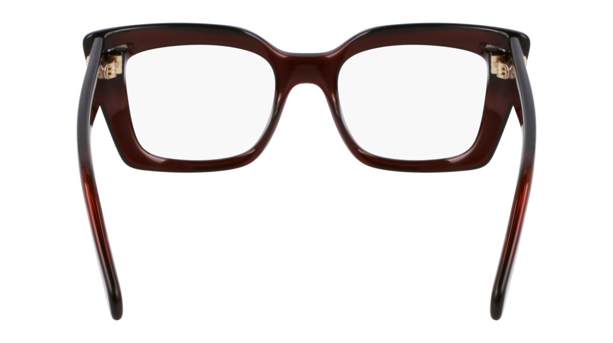Brillen Salvatore Ferragamo SF3008 (232) farbe transparent brown form rechteckig gläser color 2