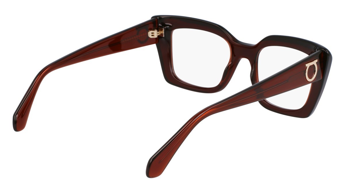 Brillen Salvatore Ferragamo SF3008 (232) farbe transparent brown form rechteckig gläser color 2