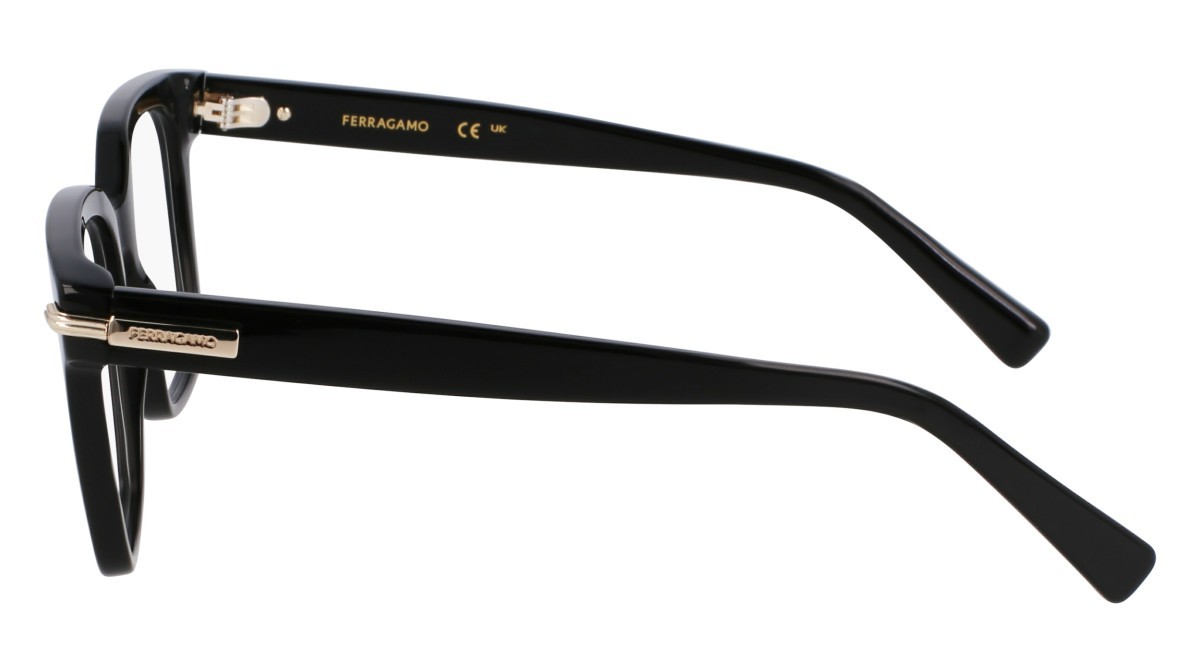 Eyeglasses Salvatore Ferragamo SF3009 (001) color black shape rectangle lenses color 1