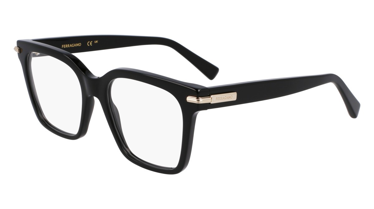 Eyeglasses Salvatore Ferragamo SF3009 (001) color black shape rectangle lenses color 1