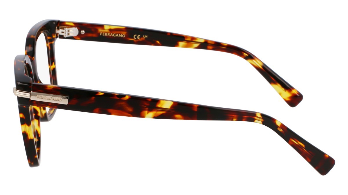 Eyeglasses Salvatore Ferragamo SF3009 (242) color dark tortoise shape rectangle lenses color 2