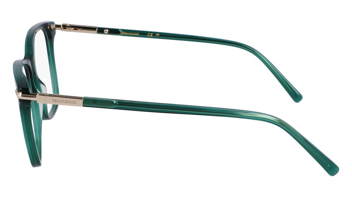 Eyeglasses Salvatore Ferragamo SF3013 (317) color transparent green shape rectangle 
