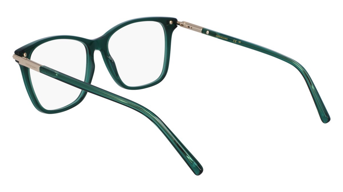 Eyeglasses Salvatore Ferragamo SF3013 (317) color transparent green shape rectangle 