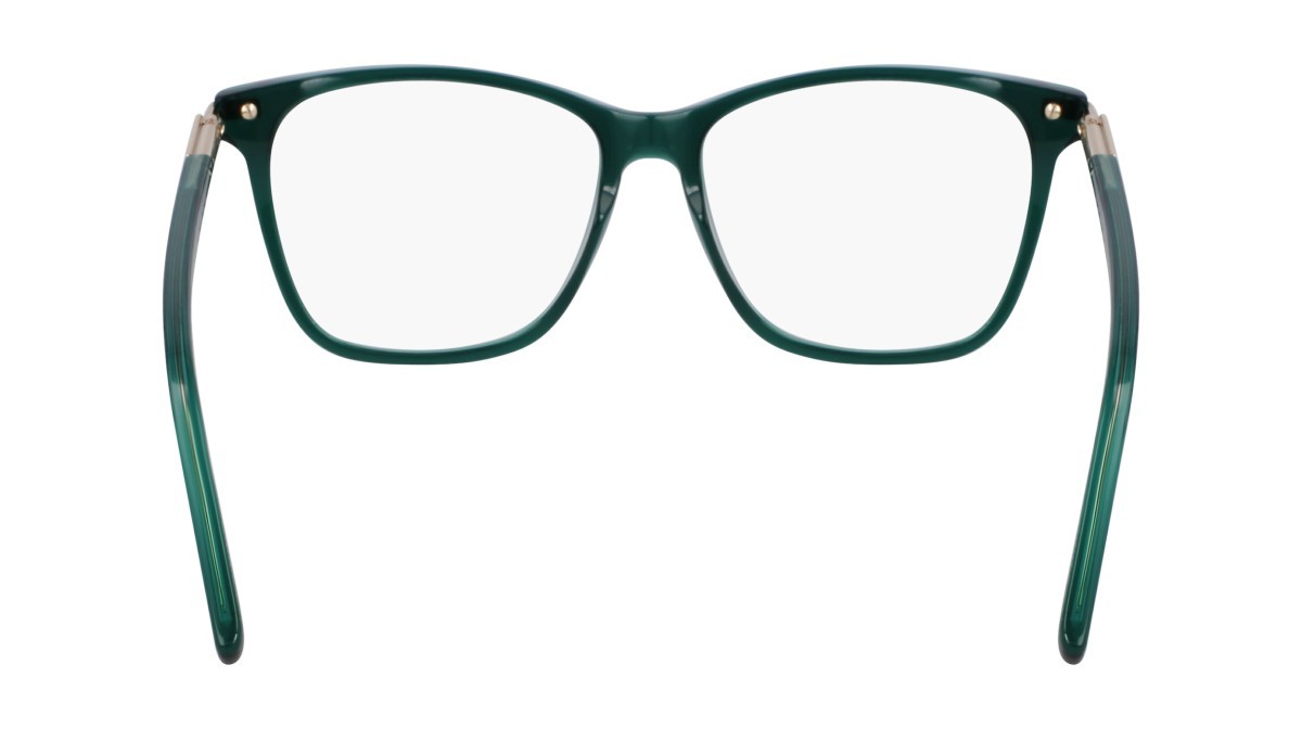 Eyeglasses Salvatore Ferragamo SF3013 (317) color transparent green shape rectangle 