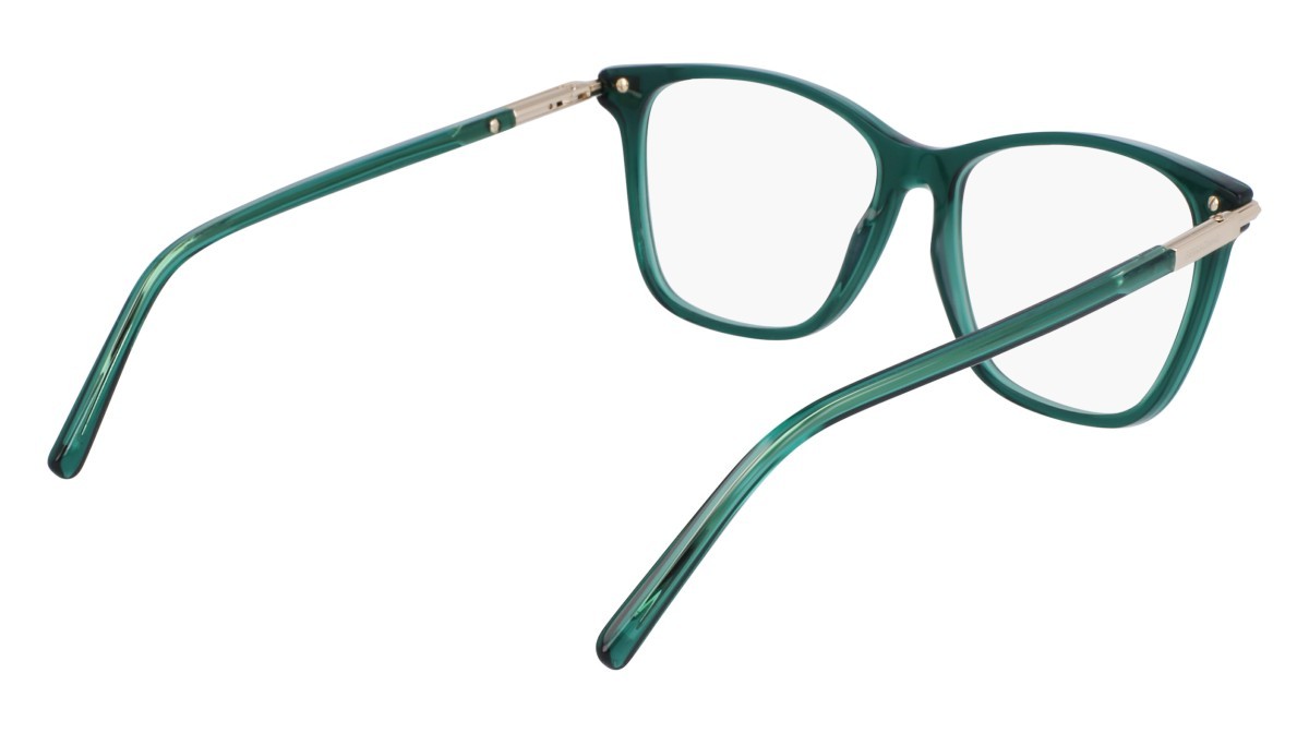 Eyeglasses Salvatore Ferragamo SF3013 (317) color transparent green shape rectangle 