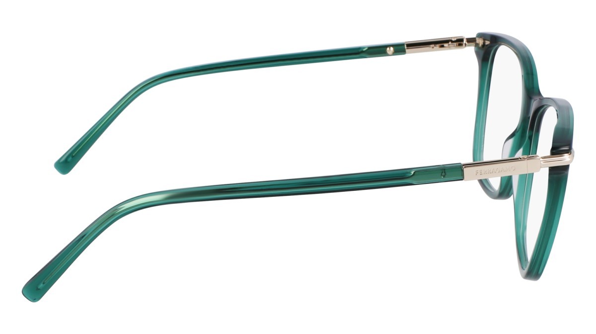 Eyeglasses Salvatore Ferragamo SF3013 (317) color transparent green shape rectangle 