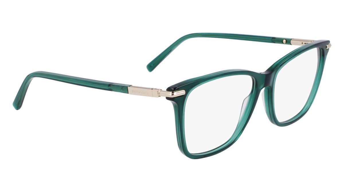 Eyeglasses Salvatore Ferragamo SF3013 (317) color transparent green shape rectangle 