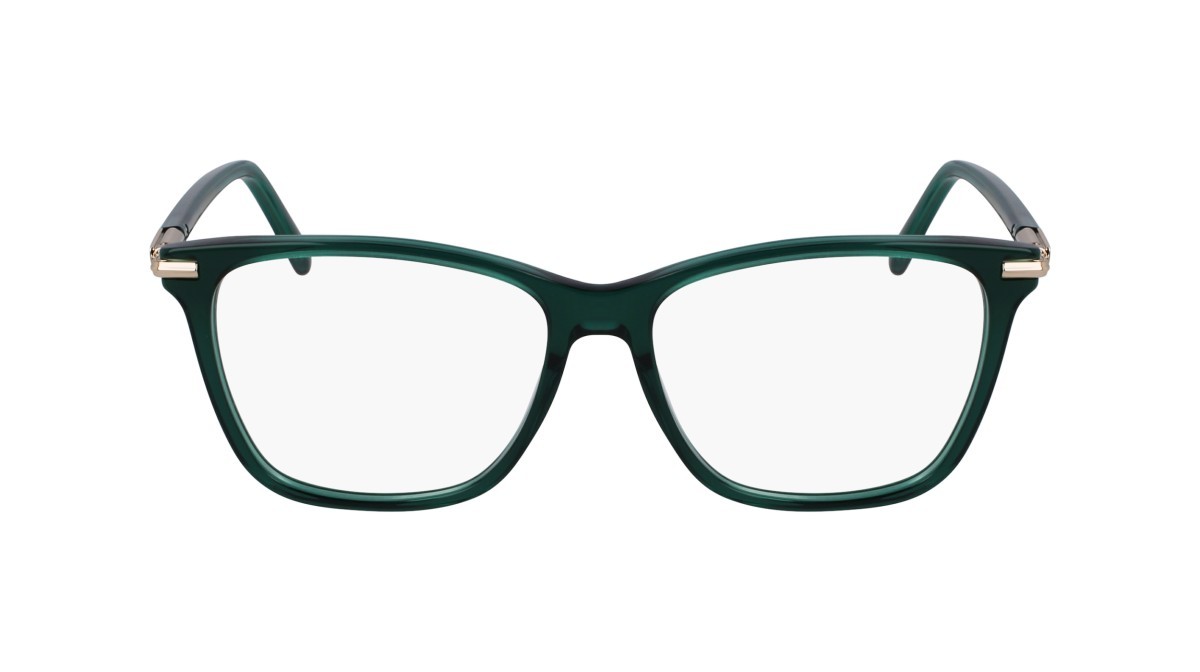 Eyeglasses Salvatore Ferragamo SF3013 (317) color transparent green shape rectangle 