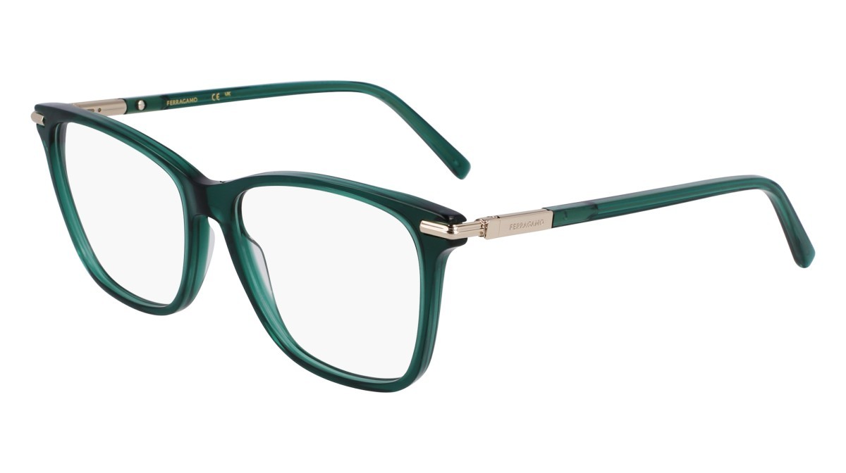 Eyeglasses Salvatore Ferragamo SF3013 (317) color transparent green shape rectangle 