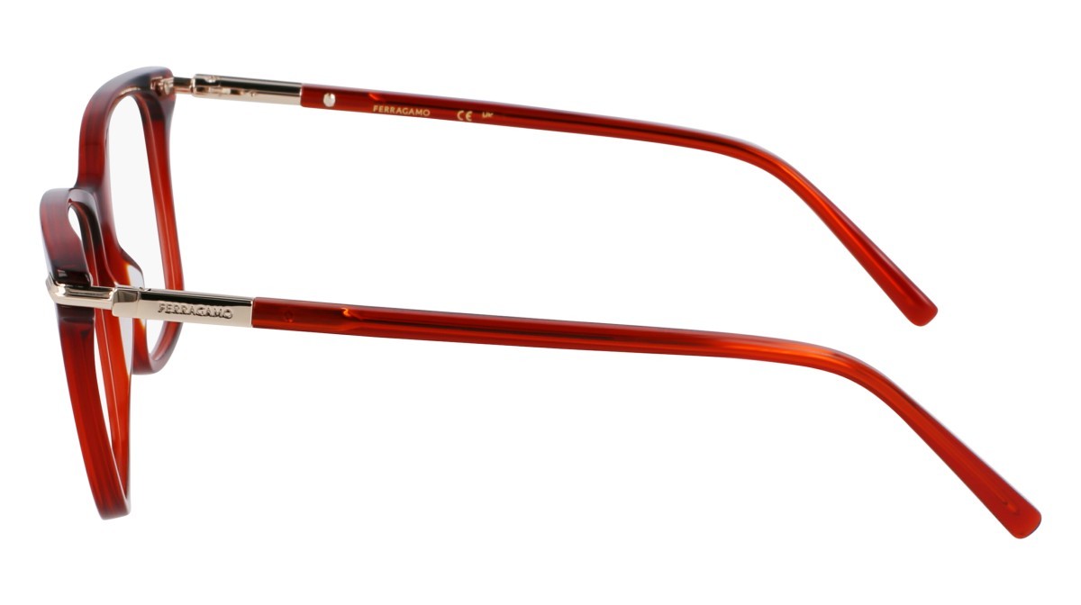Eyeglasses Salvatore Ferragamo SF3013 (616) color transparent red shape rectangle 