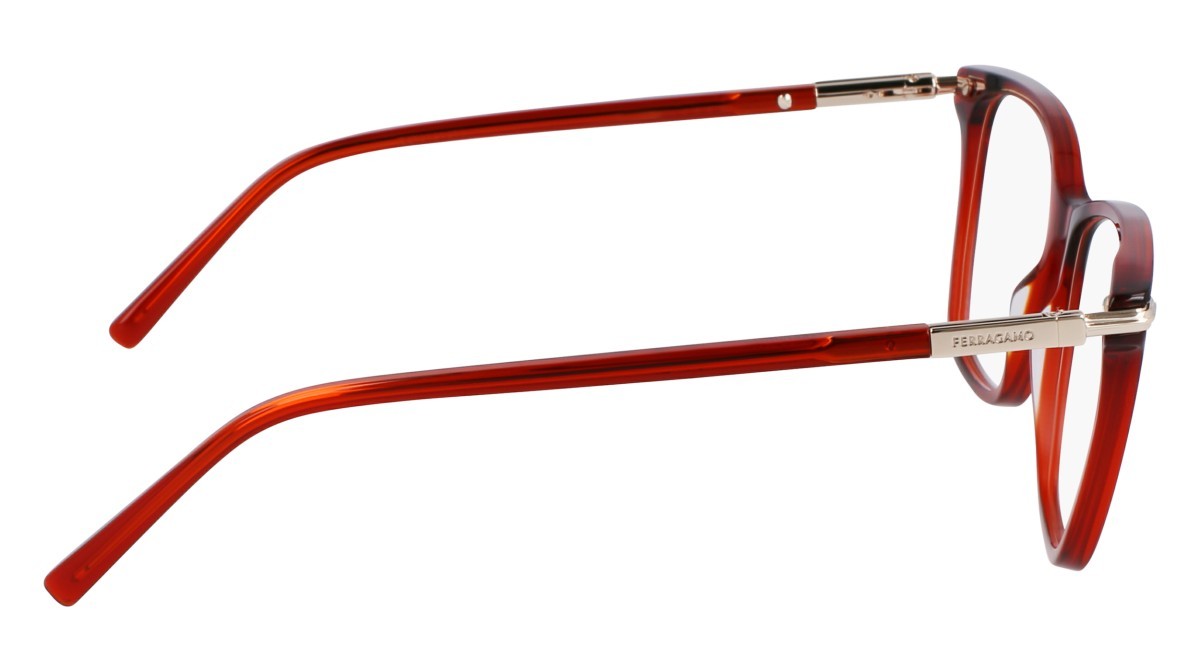 Eyeglasses Salvatore Ferragamo SF3013 (616) color transparent red shape rectangle 
