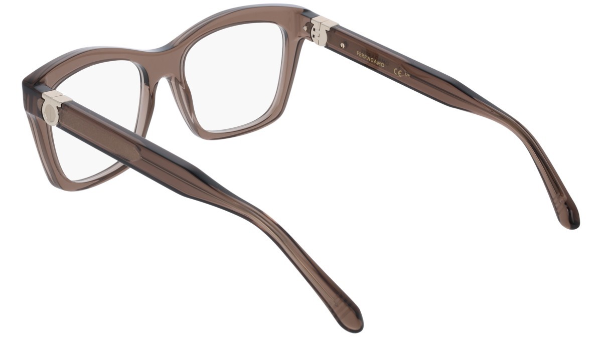 Eyeglasses Salvatore Ferragamo SF3022 (232) color transparent brown shape rectangle lenses colore - 2