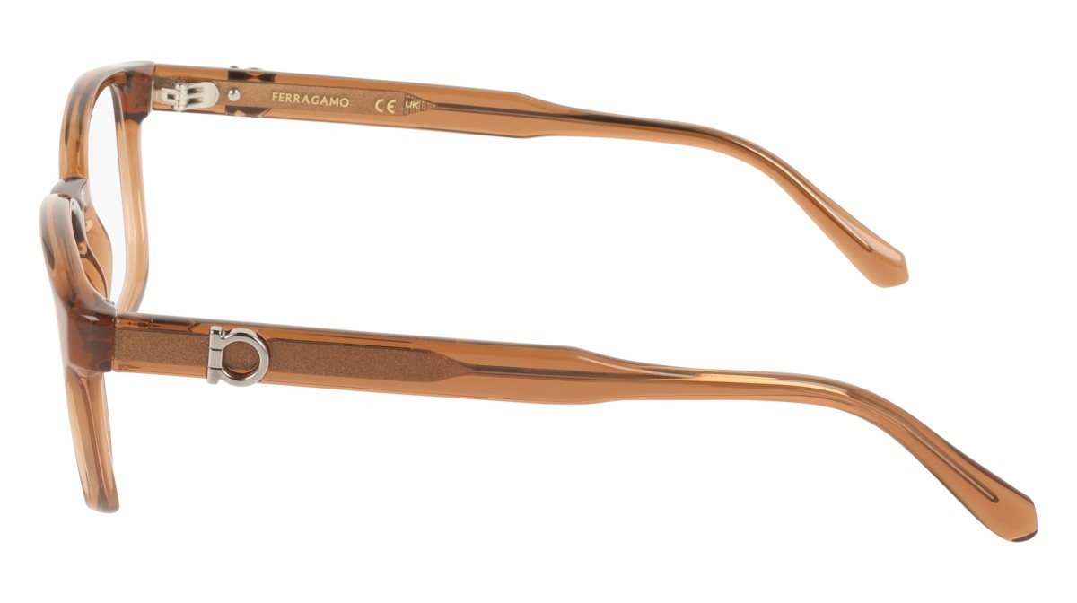 Eyeglasses Salvatore Ferragamo SF3027E (232) color transparent brown shape pantos lenses colore - 2