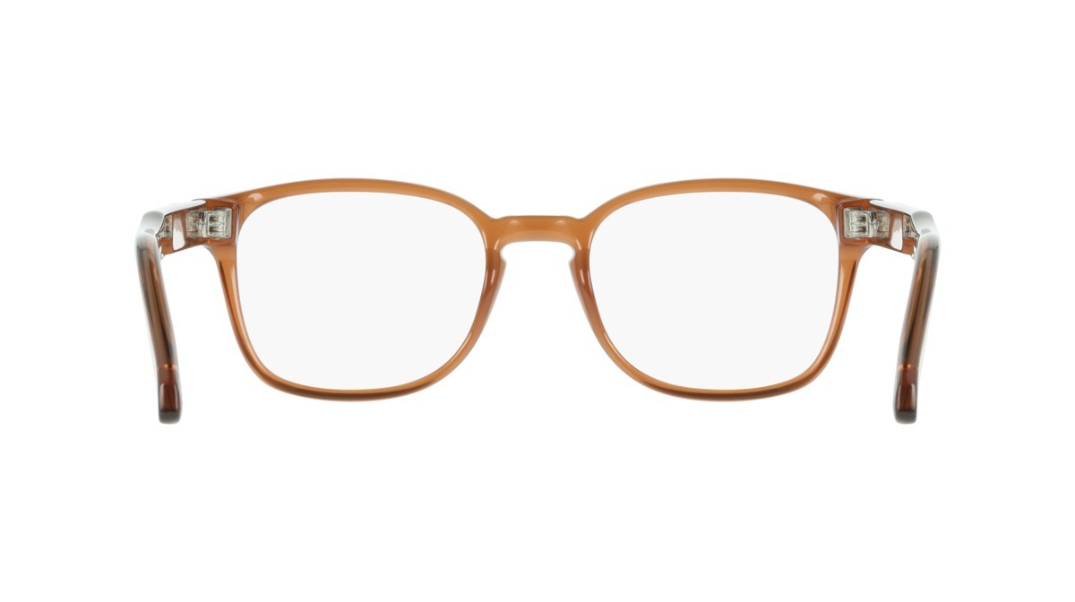 Eyeglasses Salvatore Ferragamo SF3027E (232) color transparent brown shape pantos lenses colore - 2