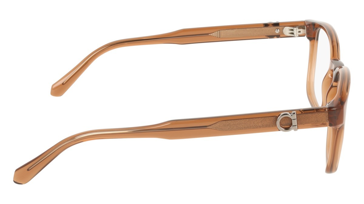 Eyeglasses Salvatore Ferragamo SF3027E (232) color transparent brown shape pantos lenses colore - 2