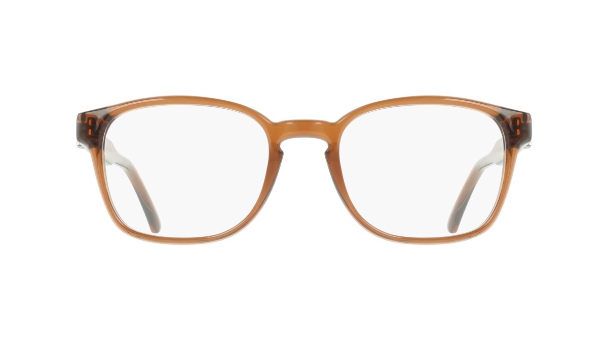 Eyeglasses Salvatore Ferragamo SF3027E (232) color transparent brown shape pantos lenses colore - 2
