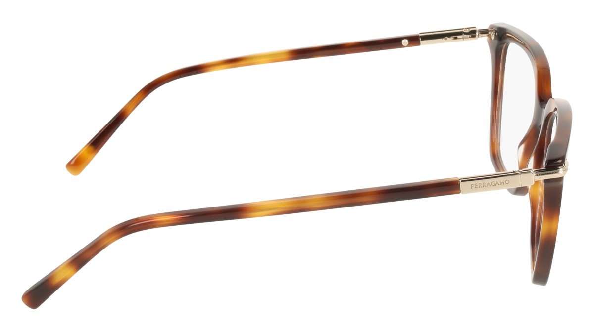 Eyeglasses Salvatore Ferragamo SF3038 (240) color tortoise shape rectangle 