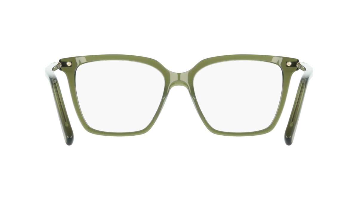 Eyeglasses Salvatore Ferragamo SF3038 (317) color transparent green shape rectangle 