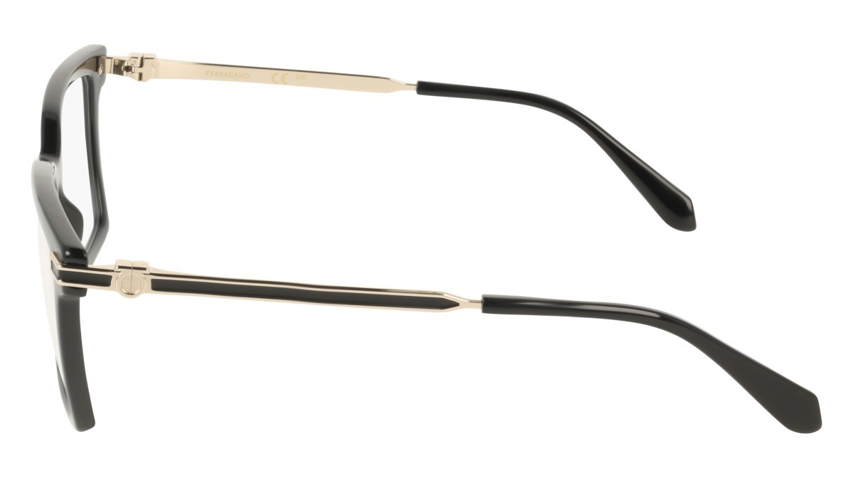 Eyeglasses Salvatore Ferragamo SF3039 (001) color black shape rectangle 