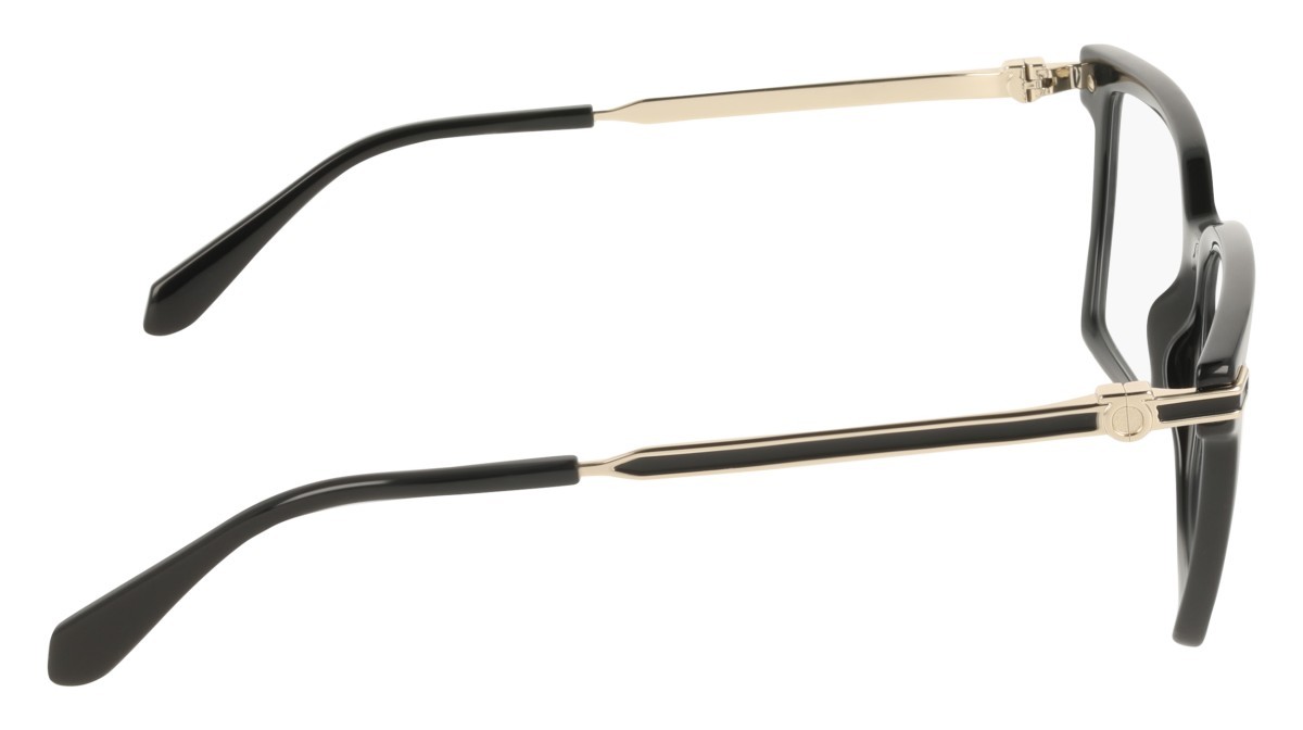Eyeglasses Salvatore Ferragamo SF3039 (001) color black shape rectangle 