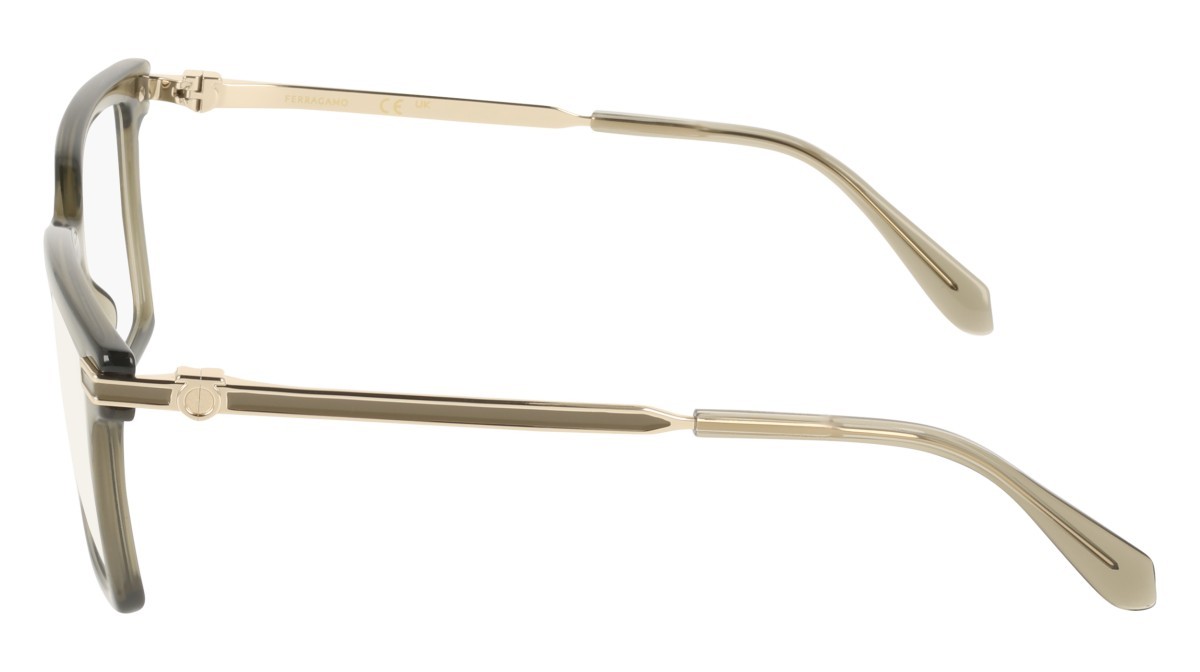Eyeglasses Salvatore Ferragamo SF3039 (320) color transparent khaki shape rectangle 