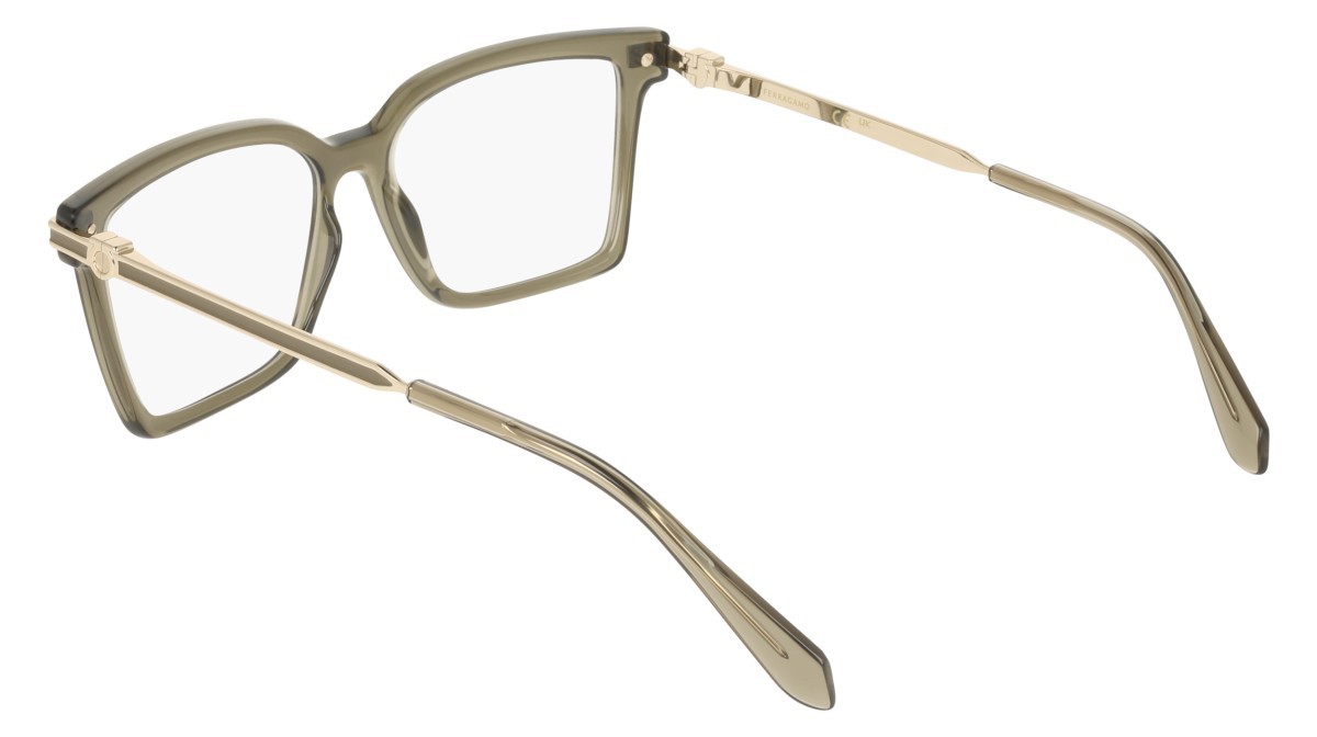 Eyeglasses Salvatore Ferragamo SF3039 (320) color transparent khaki shape rectangle 