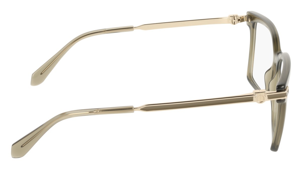 Eyeglasses Salvatore Ferragamo SF3039 (320) color transparent khaki shape rectangle 