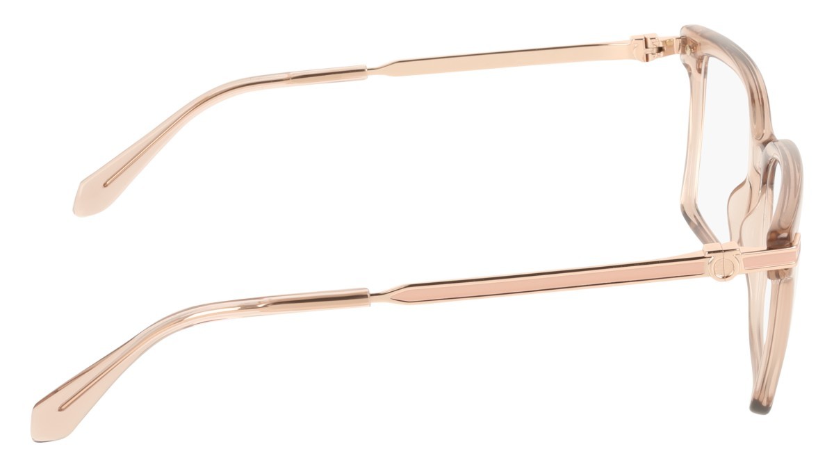 Eyeglasses Salvatore Ferragamo SF3039 (667) color transparent rose shape rectangle 