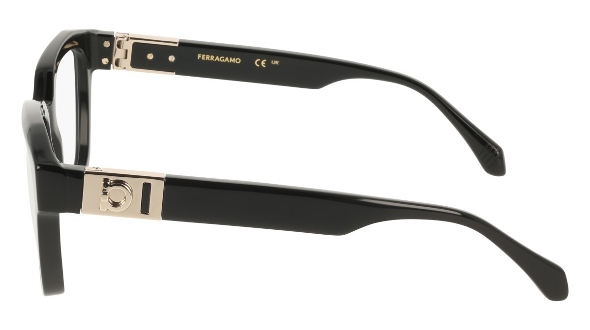 Eyeglasses Salvatore Ferragamo SF3040 (001) color black shape rectangle 
