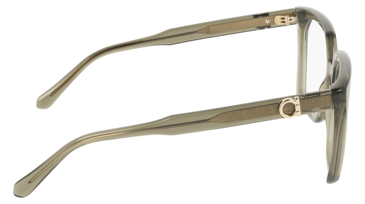 Eyeglasses Salvatore Ferragamo SF3042E (320) color transparent khaki shape rectangle 