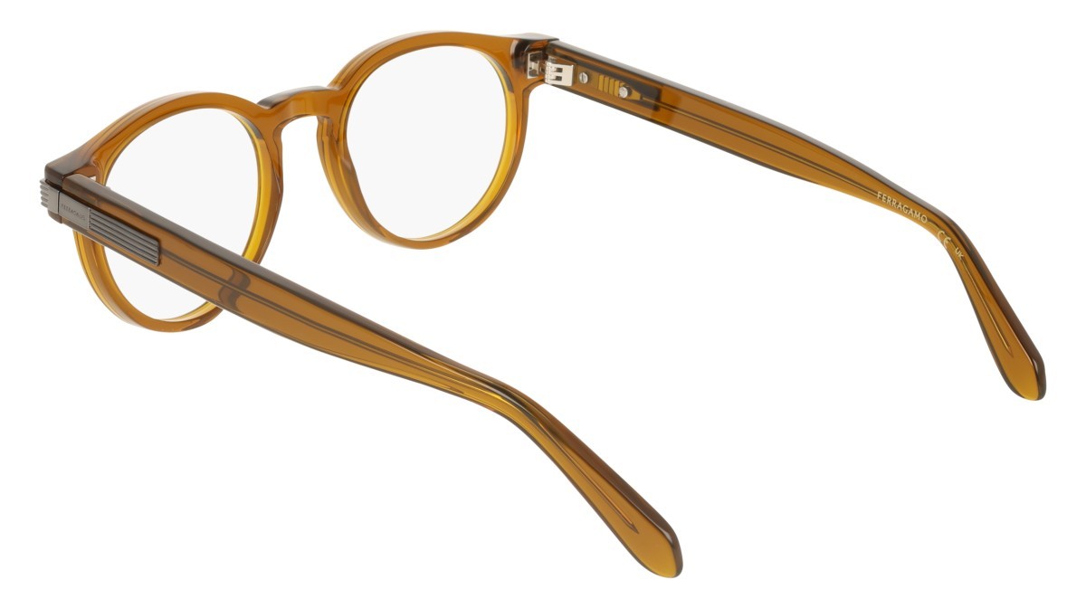Eyeglasses Salvatore Ferragamo SF3045 (232) color transparent brown shape pantos 