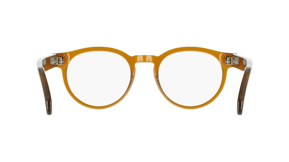 Eyeglasses Salvatore Ferragamo SF3045 (232) color transparent brown shape pantos 
