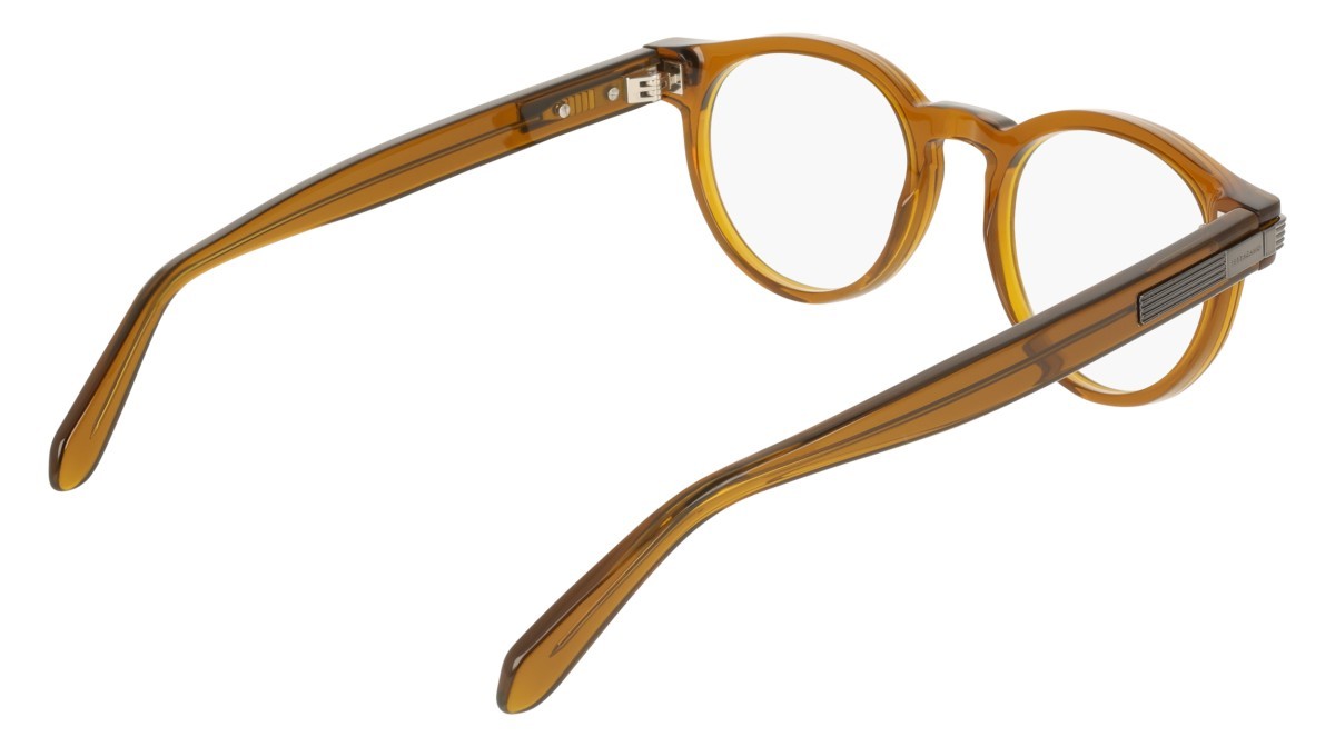 Eyeglasses Salvatore Ferragamo SF3045 (232) color transparent brown shape pantos 