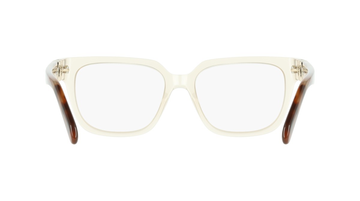 Eyeglasses Salvatore Ferragamo SF3056 (259) color transparent beige shape rectangle 