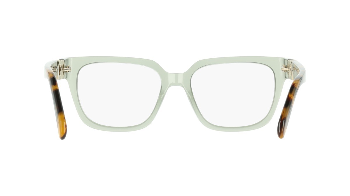 Eyeglasses Salvatore Ferragamo SF3056 (313) color transparent sage shape rectangle 