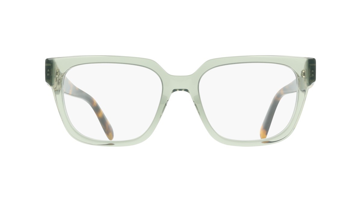 Eyeglasses Salvatore Ferragamo SF3056 (313) color transparent sage shape rectangle 