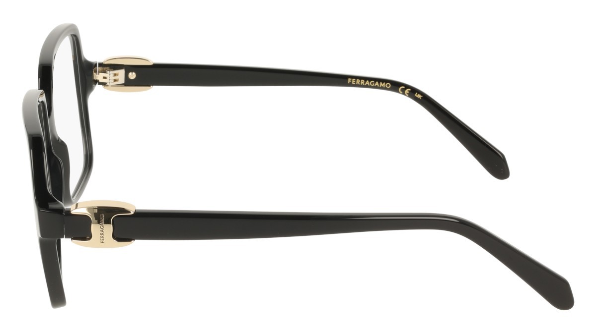 Eyeglasses Salvatore Ferragamo SF3058 (001) color black shape rectangle 