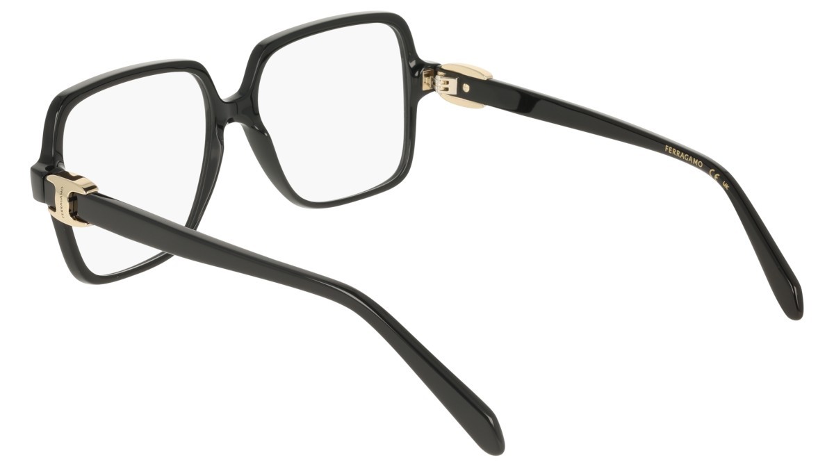 Eyeglasses Salvatore Ferragamo SF3058 (001) color black shape rectangle 