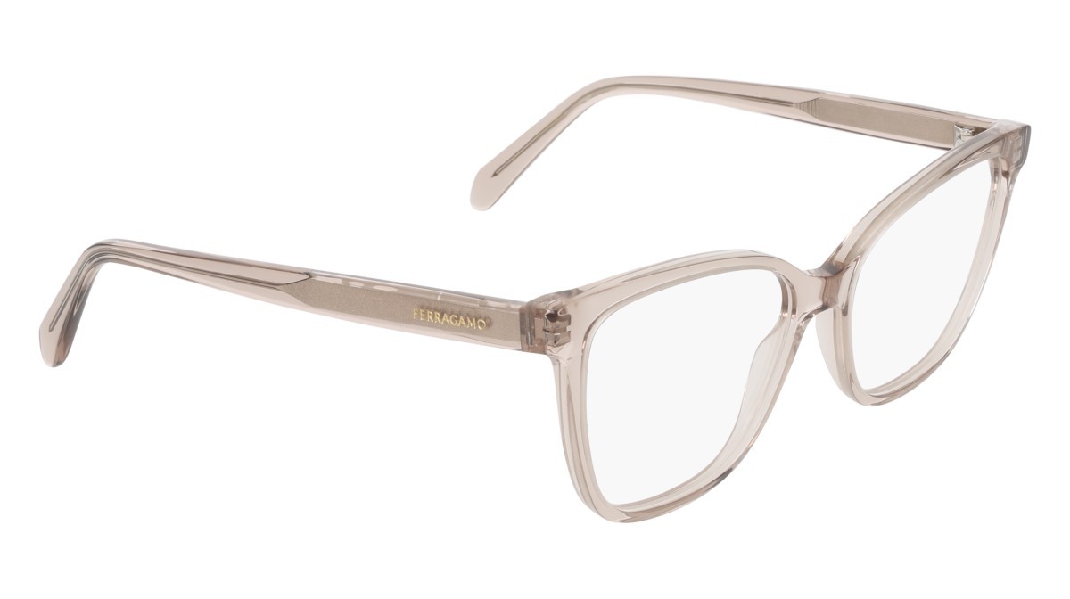 Eyeglasses Salvatore Ferragamo SF3062 (260) color transparent nude shape rectangle 