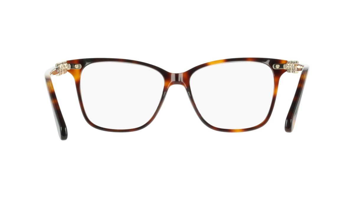 Eyeglasses Salvatore Ferragamo SF3064 (240) color tortoise shape rectangle 