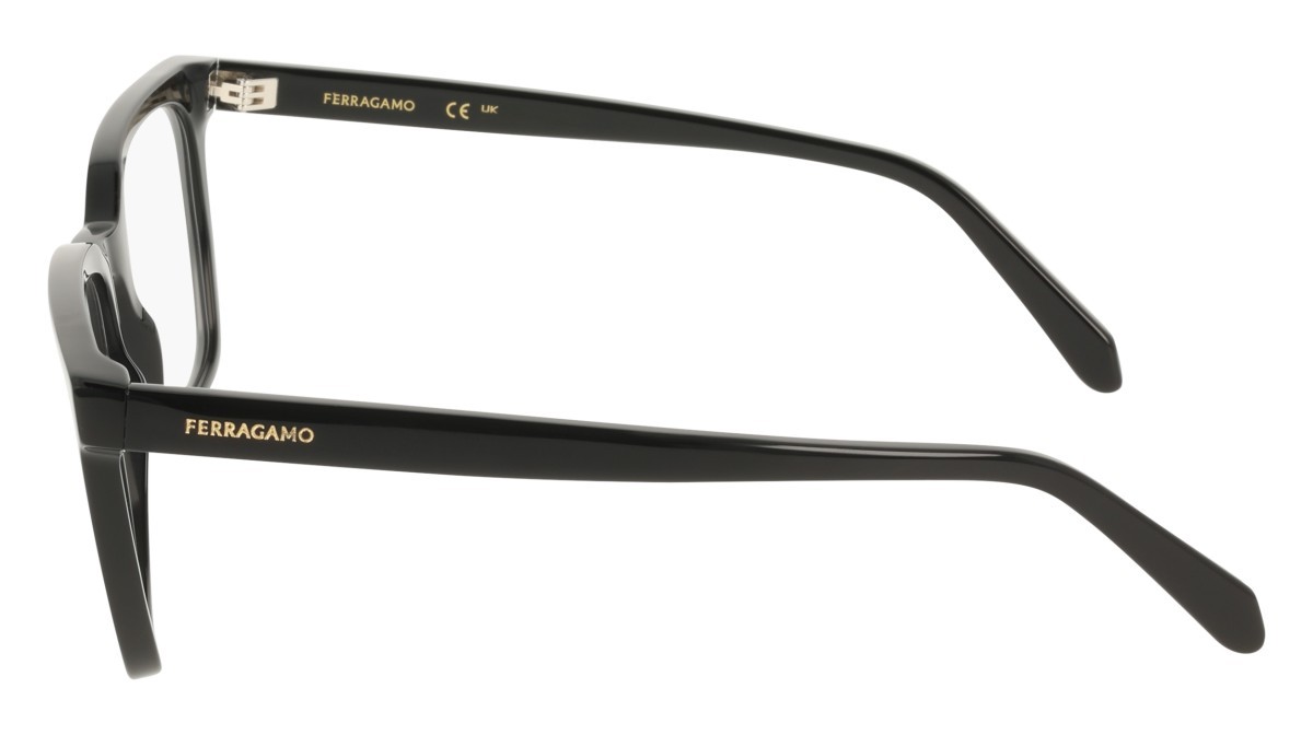 Eyeglasses Salvatore Ferragamo SF3067 (001) color black shape rectangle 