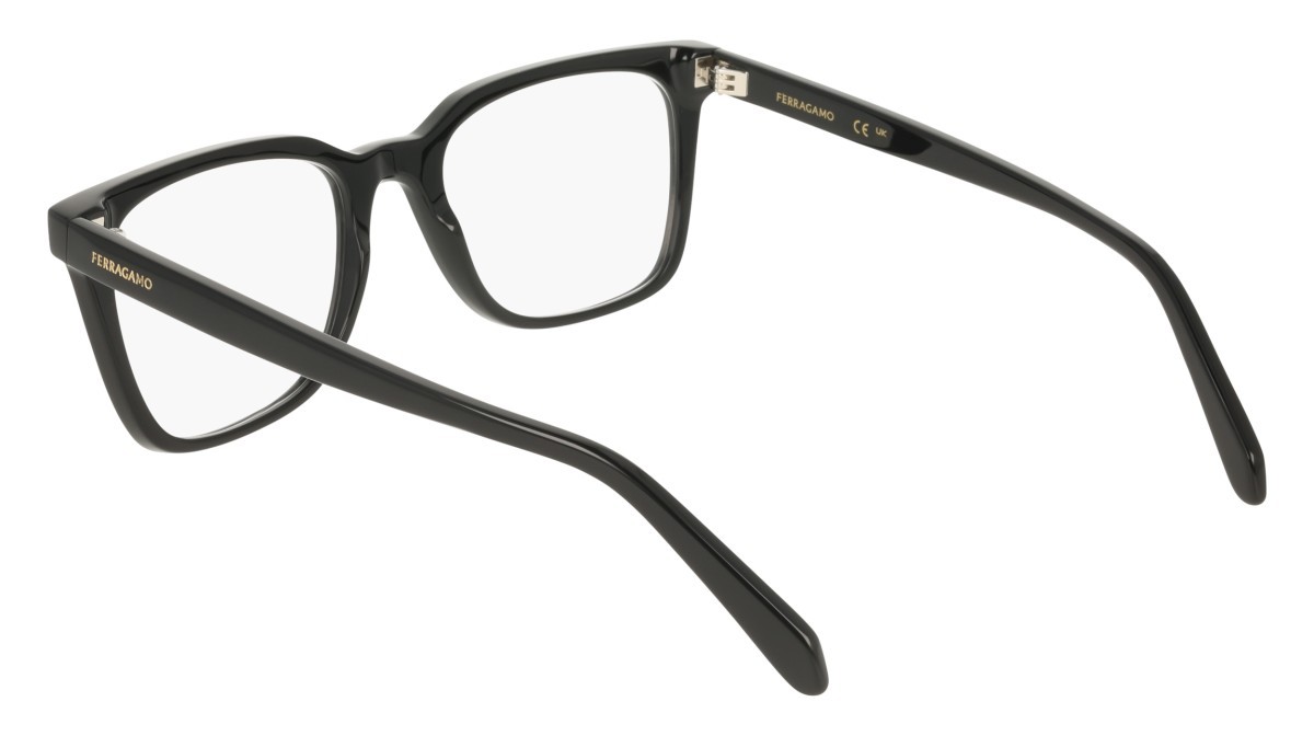 Eyeglasses Salvatore Ferragamo SF3067 (001) color black shape rectangle 