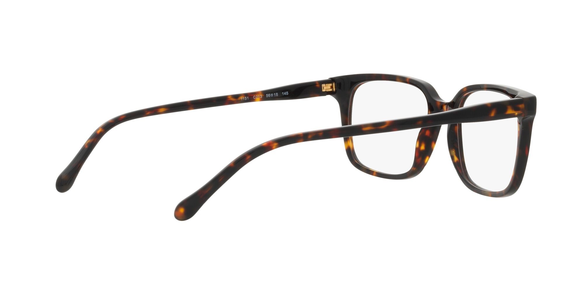 Eyeglasses Sferoflex SF 1151 (C213) color havana lucido shape rectangle lenses lente demo