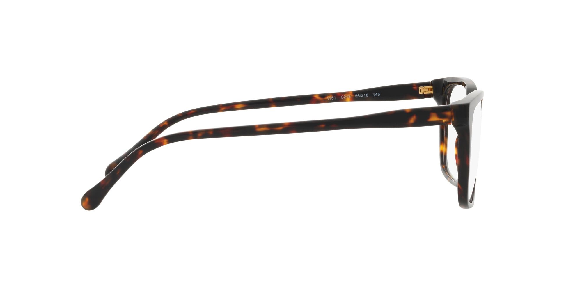 Eyeglasses Sferoflex SF 1151 (C213) color havana lucido shape rectangle lenses lente demo