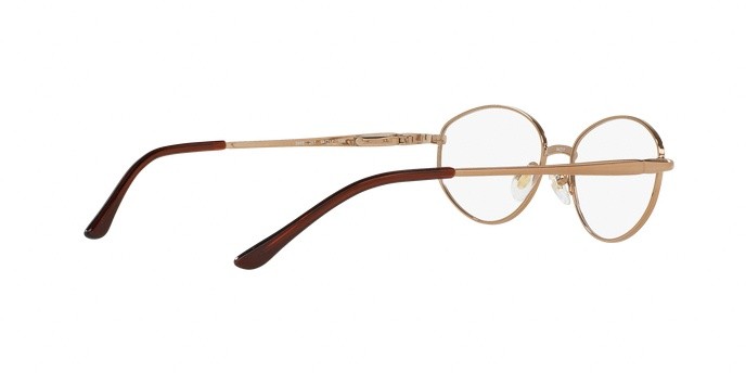 Eyeglasses Sferoflex SF 2588 (267) color taupe shape oval lenses demo lens