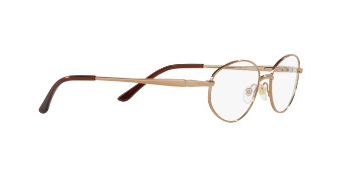 Eyeglasses Sferoflex SF 2588 (267) color taupe shape oval lenses demo lens