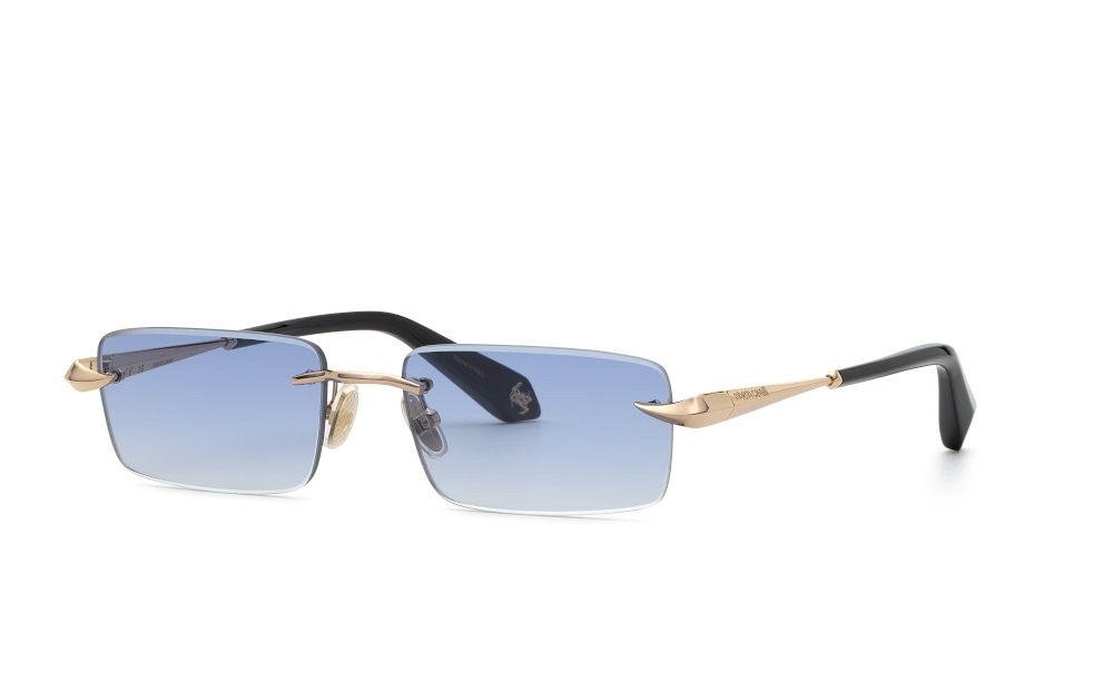 Sunglasses Roberto Cavalli SRC206M (300B) 